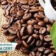 استاندارد ایزو و تولید قهوه