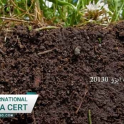 استاندارد-کیفیت-خاک-ایزو-20130