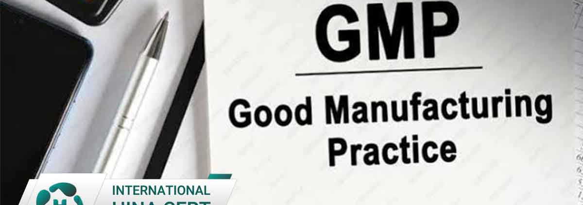 GMP